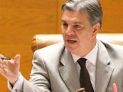 Valeriu Zgonea: Comisia Nana şi-a incheiat activitatea, dăm raportul Parchetului