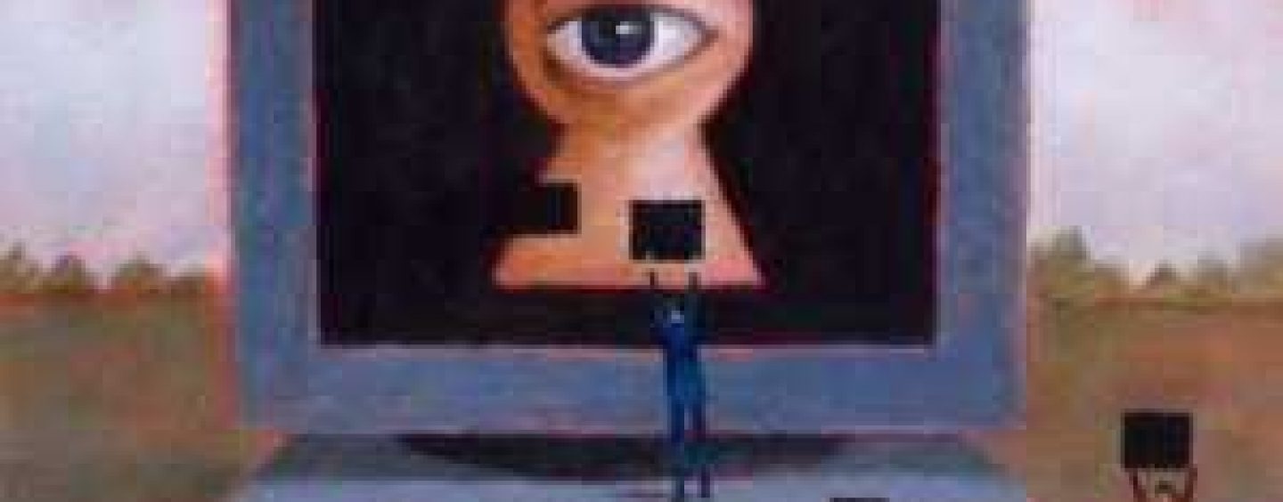 Legea Big Brother, respinsa de Curtea Constitutionala