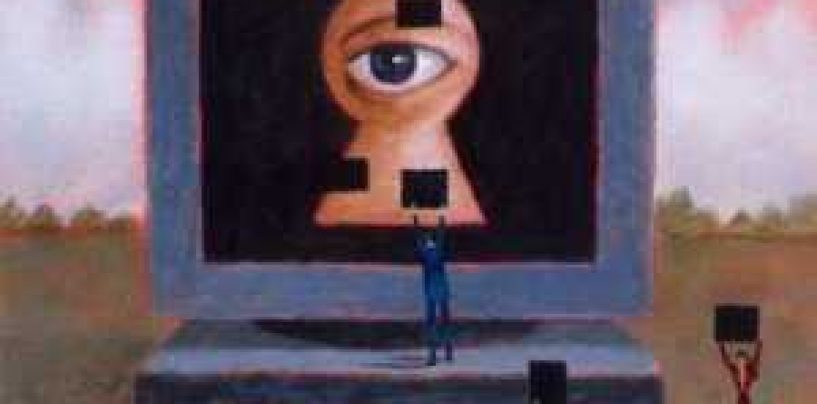 Legea Big Brother, respinsa de Curtea Constitutionala