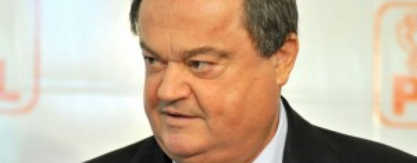 Vasile Blaga: Zilele urmatoare vom stabili data congresului de fuziune PDL-PNL
