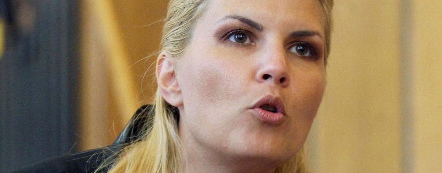 Elena Udrea: O parte din banii dati mita in dosarul Microsoft au ajuns la Victor Ponta si Vasile Blaga