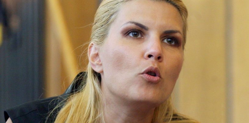 Elena Udrea: O parte din banii dati mita in dosarul Microsoft au ajuns la Victor Ponta si Vasile Blaga