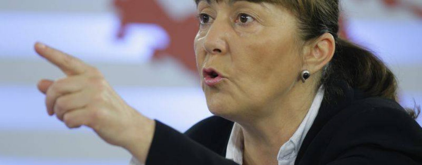 Monica Macovei a castigat procesul cu Dan Sova, acuzat de calomnie si insulta