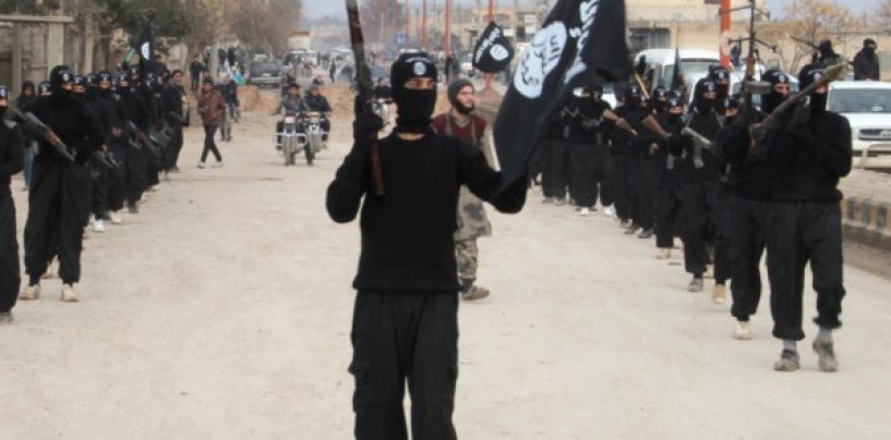 Kurzii au reusit sa elibereze orasul Kobane de sub ocupatia Statului Islamic