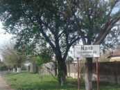 Dosarul Nana: Procurorii au inceput urmarirea penala impotriva a 11 persoane pentru constituire de grup organizat infractional