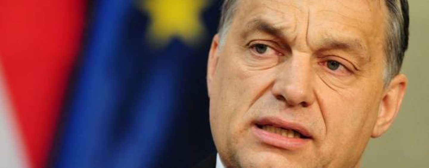 Budapesta: Ginerele lui Viktor Orban, abonat la contracte cu statul