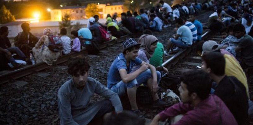 Stare de razboi. Tarile din Estul Europei mobilizeaza armata in fata crizei refugiatilor