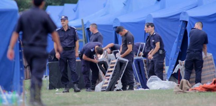 Am intrat in febra crizei refugiatilor: zeci de corturi militare instalate la granita cu Serbia