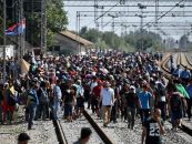 Situaţia se tensionează în Grecia. Imigranții au ridicat baraje rutiere în nordul țării