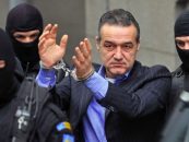 Reactia lui Gigi Becali : Daca Laura Kovesi ar fi stiut, s-ar fi opus. Procurorul e unul tanar, e baiat bun