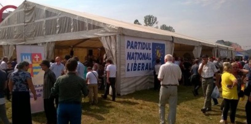 Cum a confiscat PNL Arad sărbătoarea de la Țebea, închinată lui Avram Iancu