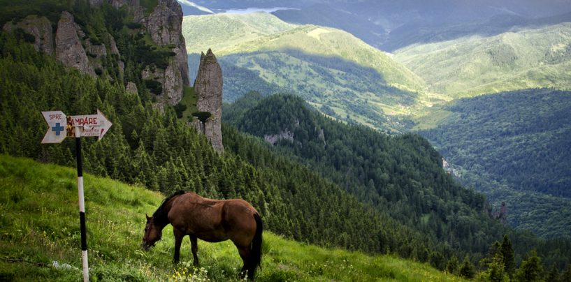 Bată-i toaca! Studenții ortodocși din Cluj au provocat daune ”zgomotoase” în munții Ceahlău