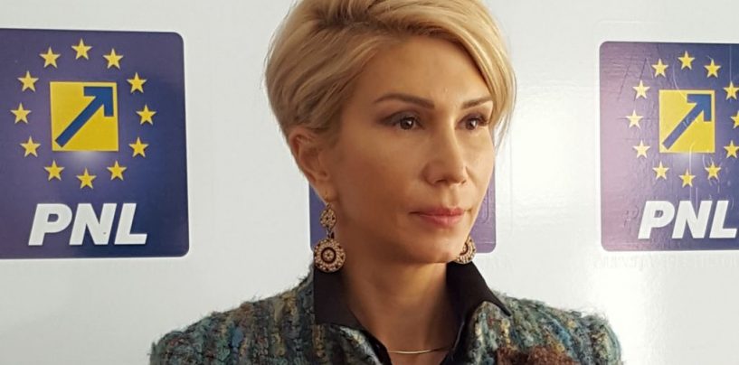 PNL vrea sa formeze o majoritate pentru a respinge in Parlament, Guvernul Dancila