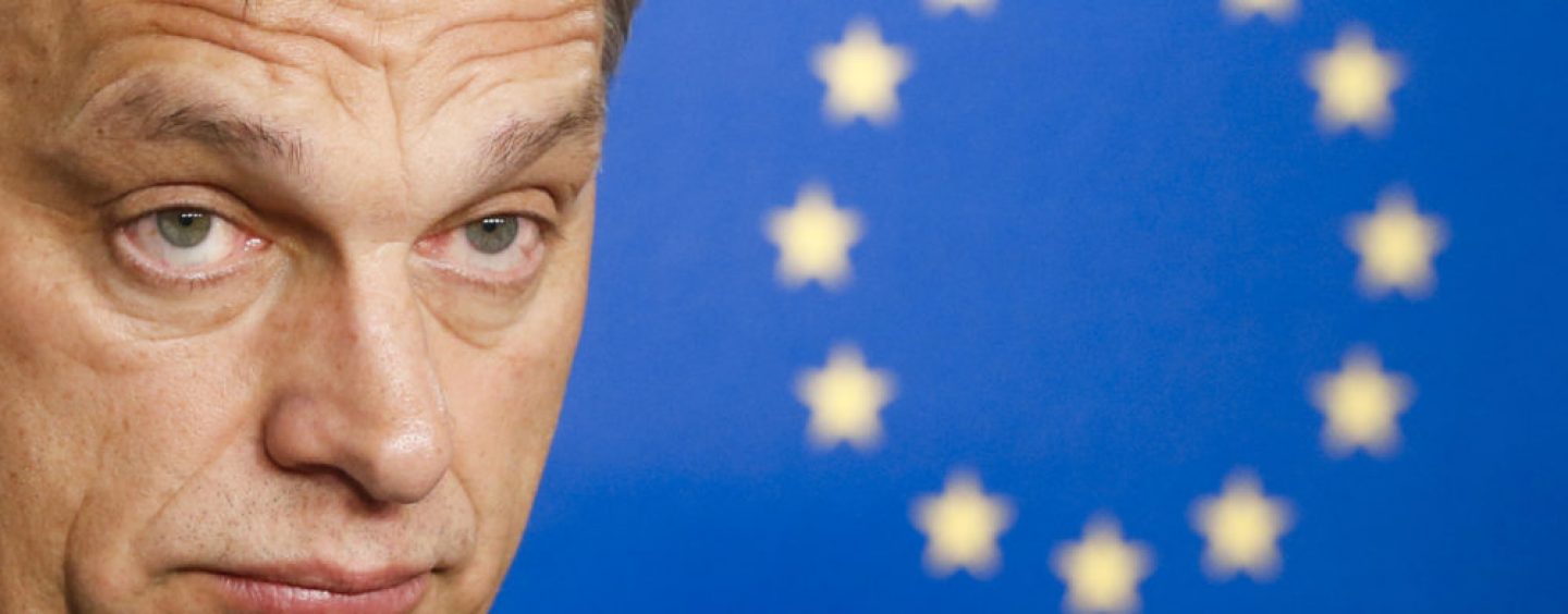 SUA: Ungaria să pună capăt  disputelor cu Ucraina