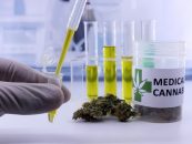 TOP 5 BENEFICII ale cannabisului medicinal