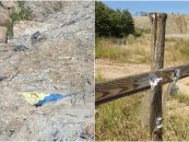 Reabilitarea ecologică a haldelor de steril din fostele zone miniere – proiect de importanță națională
