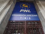 Dinulescu și Șandru, liberalii timișeni campioni ai contractelor cu statul. Ginerică Șandru, bani publici pe barba socrului