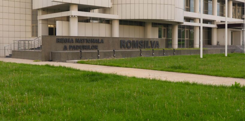 Moment istoric pentru biodiversitatea României: Elanul revine în pădurile administrate de Romsilva, în Parcul Natural Vânători Neamț