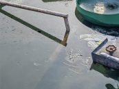 Poluare pe Dunăre cu produse petroliere, în zona Giurgiu