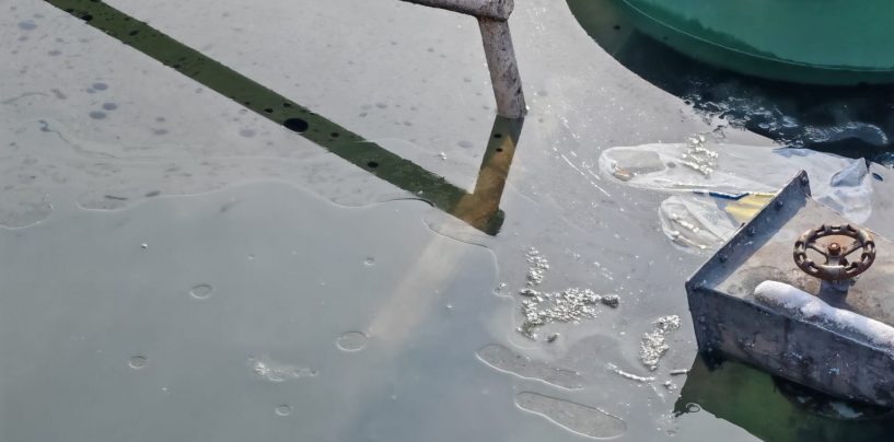 Poluare pe Dunăre cu produse petroliere, în zona Giurgiu