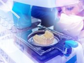 Tipuri de biomateriale dentare și indicațiile lor clinice